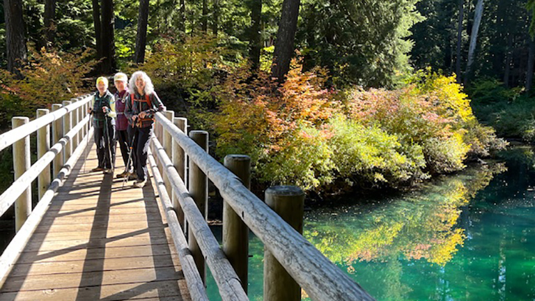 Sheryl with some hiking friends on a bridge over a brilliant blue-green creek