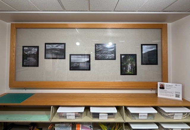 Design Library Display Case 2