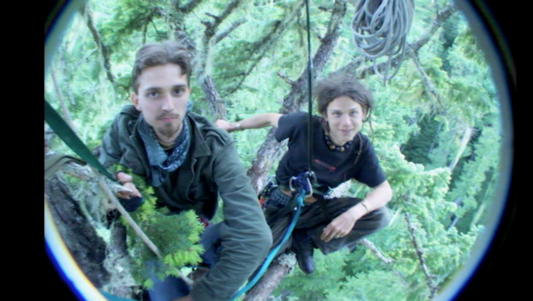Two young, male activists sitting high in the Oregon treetops, circa 1990s.