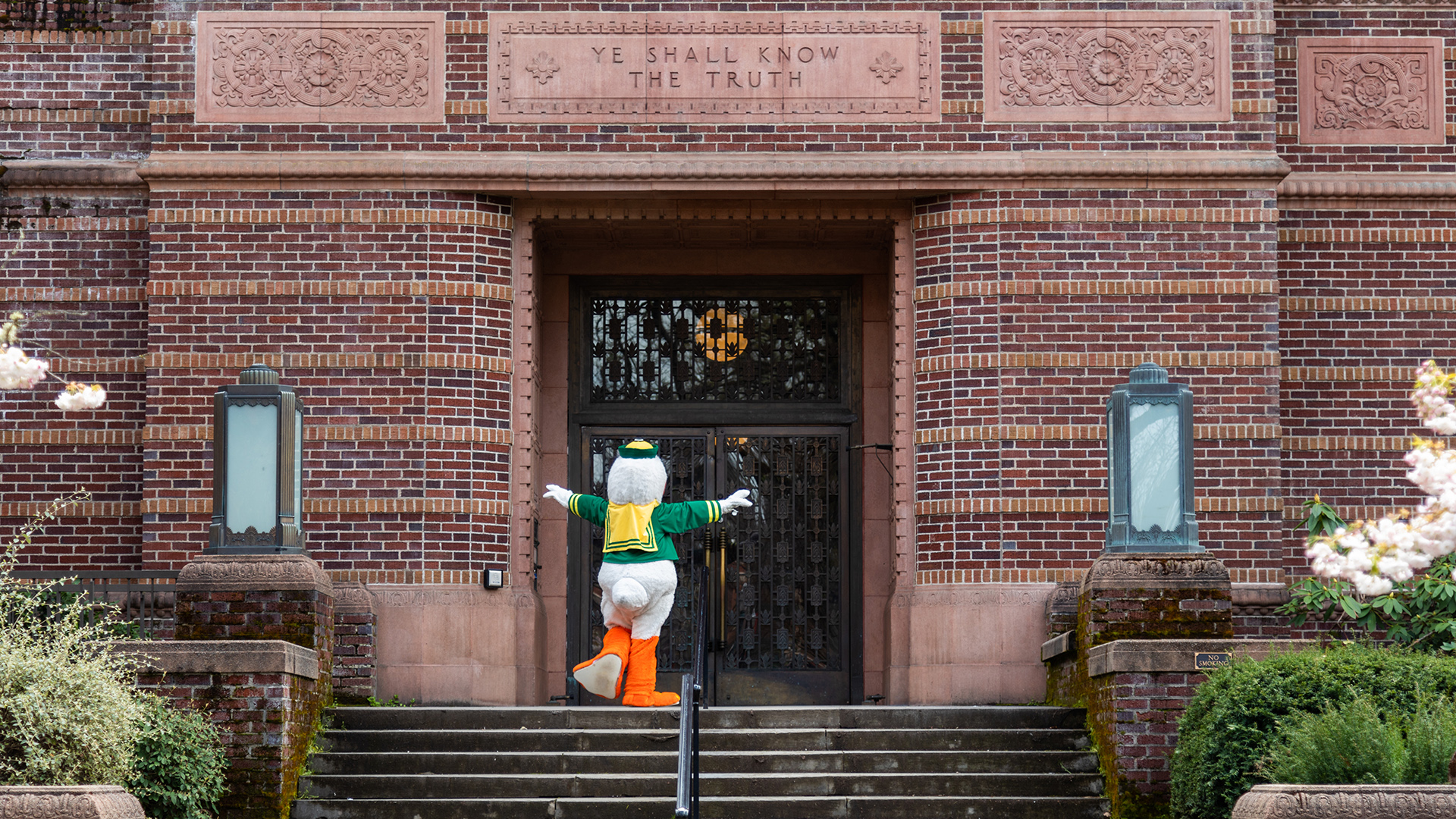 The Oregon Duck climbing the stairs to the front door of