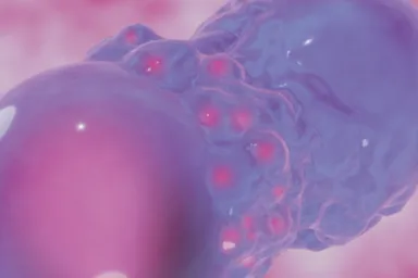  Microscopy image of cartilage regeneration from the Lindberg Lab, Knight Campus