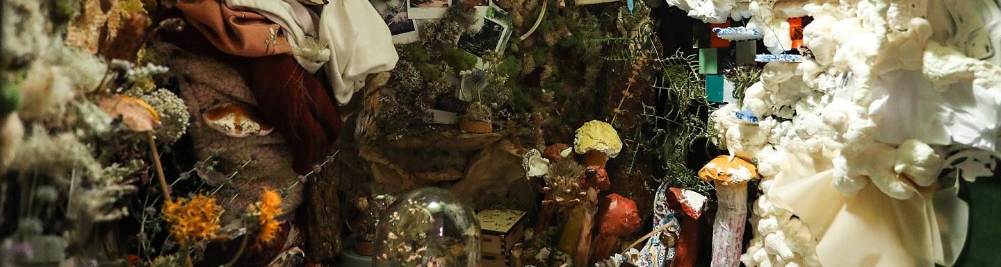 small exhibit full of different textures