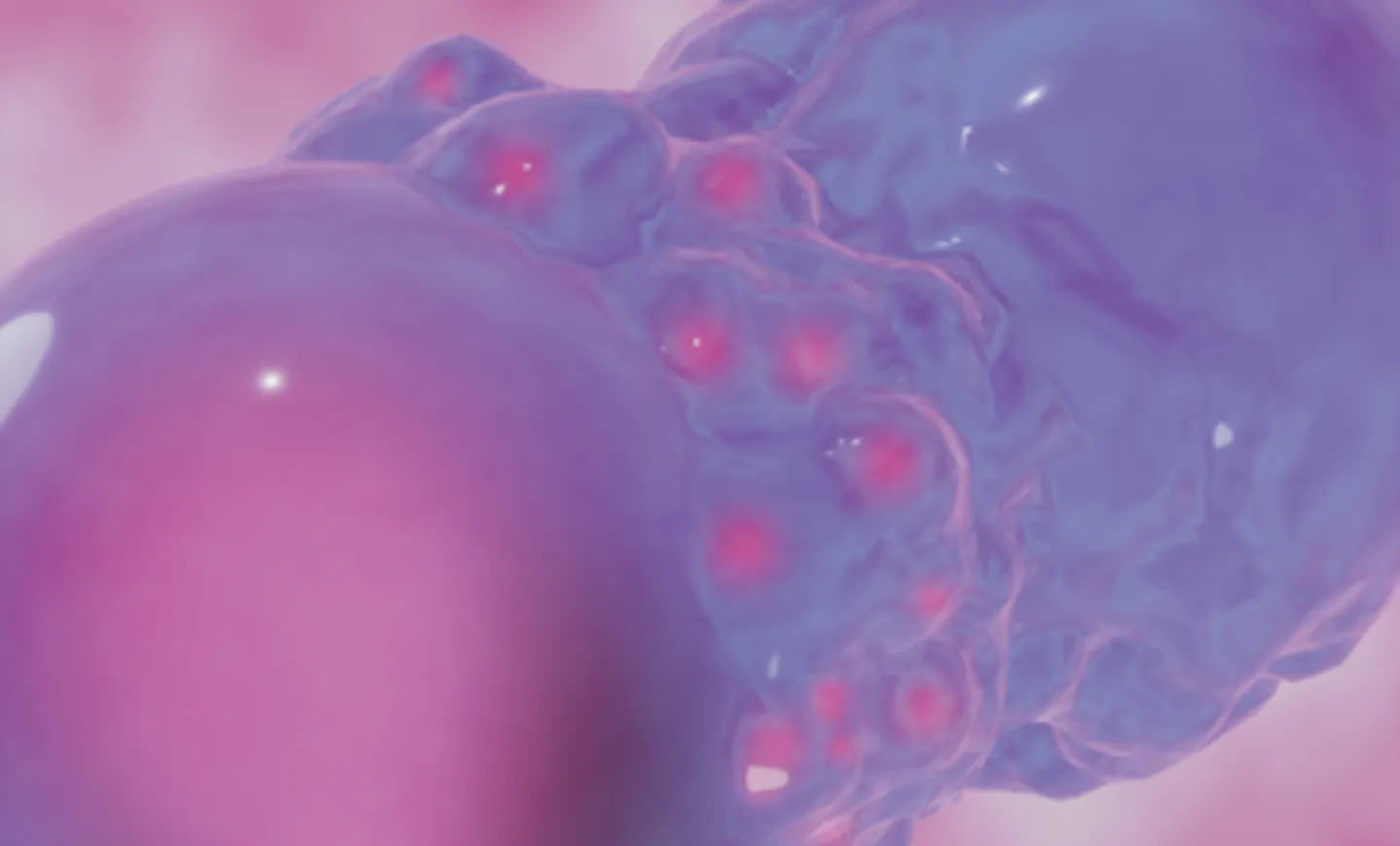  Microscopy image of cartilage regeneration from the Lindberg Lab, Knight Campus