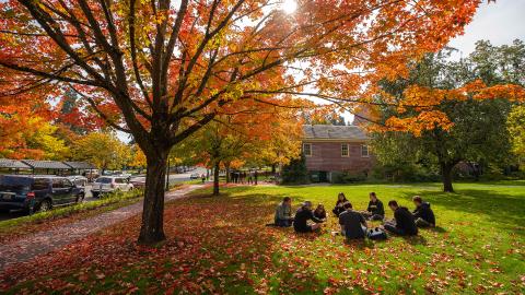 A group of students sitting under a tree in the fall