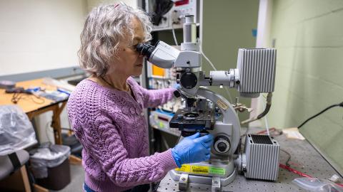 A woman looking through a microscope