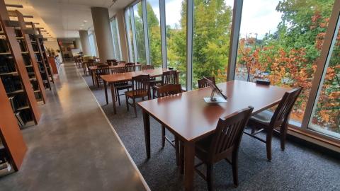 Library study tables near large windows with trees