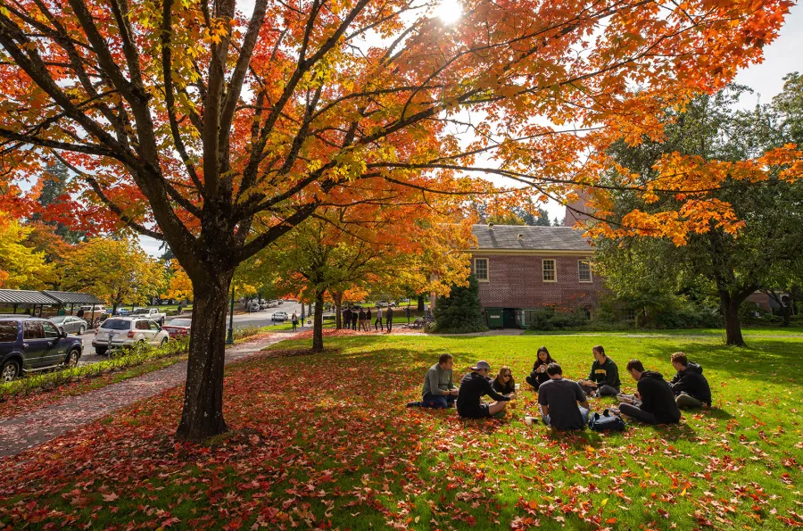 A group of students sitting under a tree in the fall