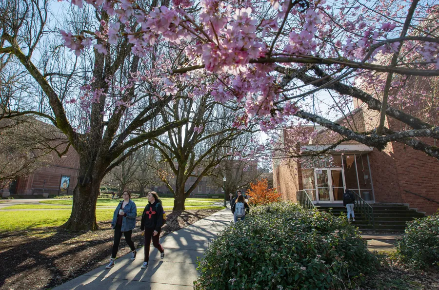 people walking on campus in spring