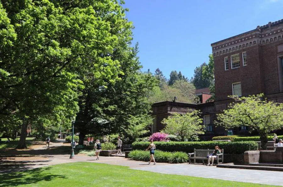 Exterior of Knight Library in the spring