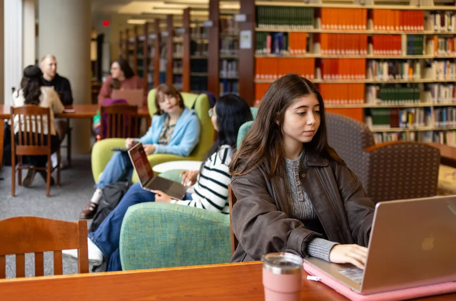 students studying in the library